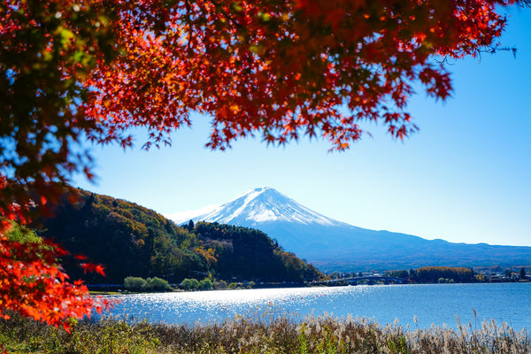紅葉と富士山の絶景コラボレーション