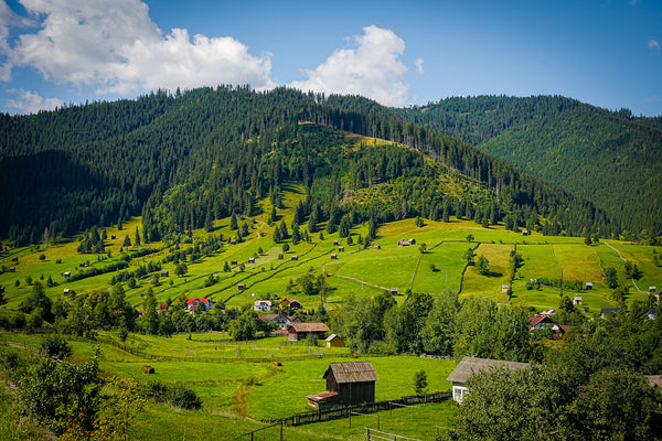 緑の交響曲：ブコヴィナの永遠の牧歌的詩情