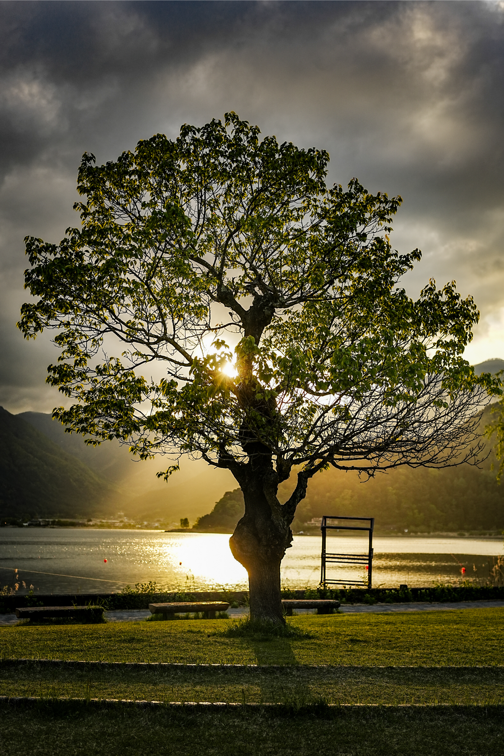 孤独の黄金の時刻：湖河口の夢想
