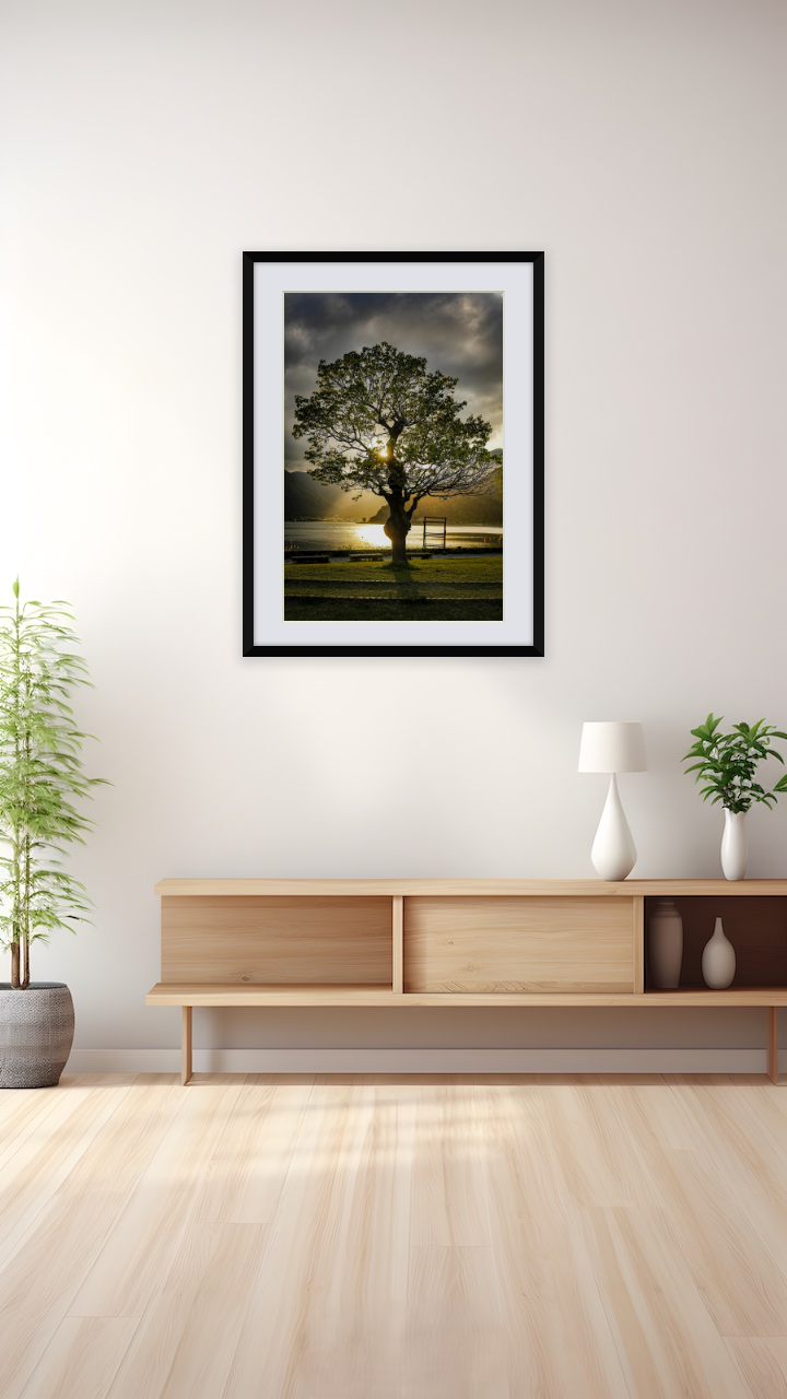 孤独の黄金の時刻：湖河口の夢想