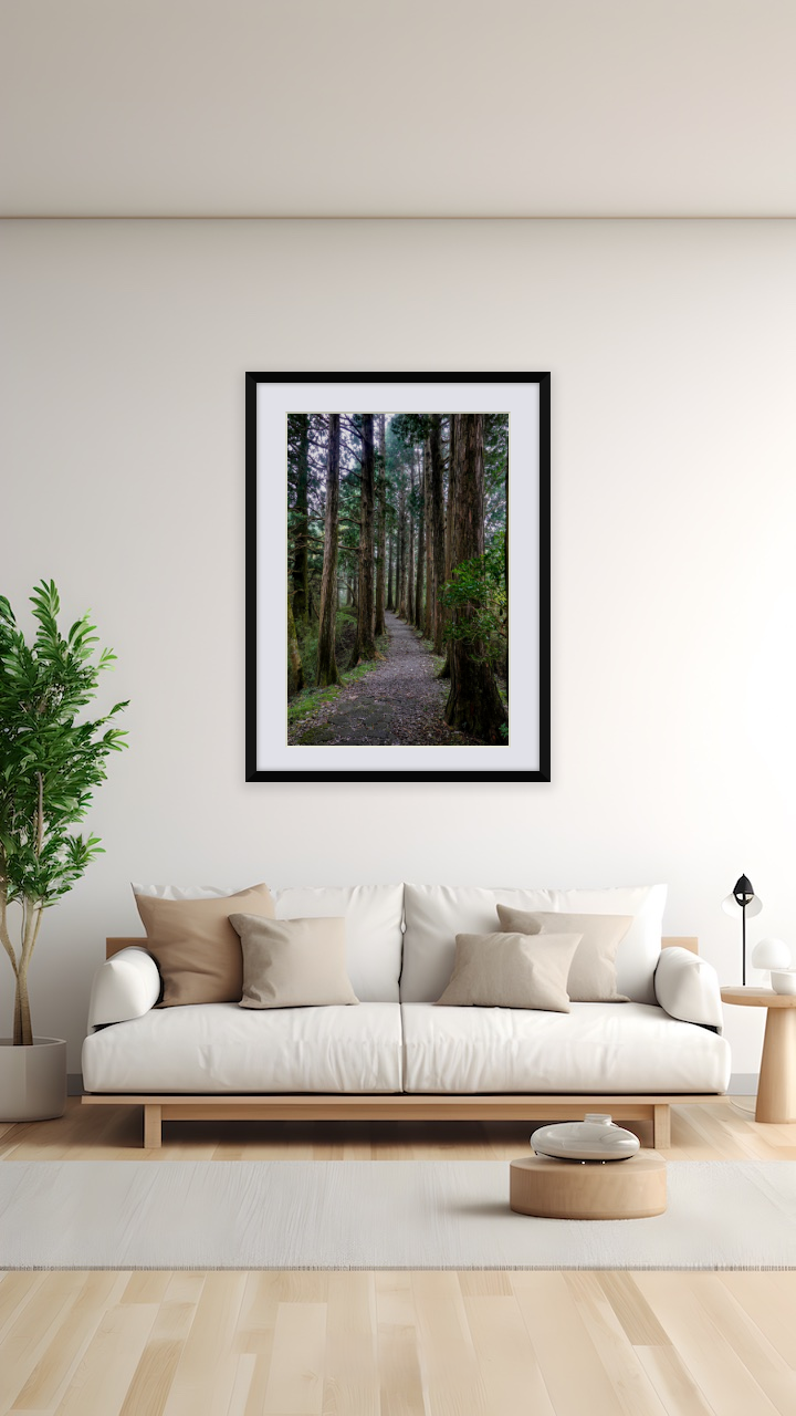 緑のトンネルが続く神秘の森