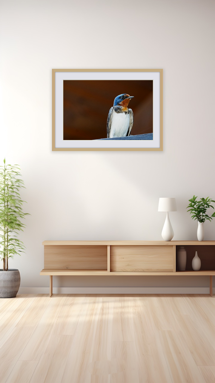 春の使者～ツバメの凛々しい横顔