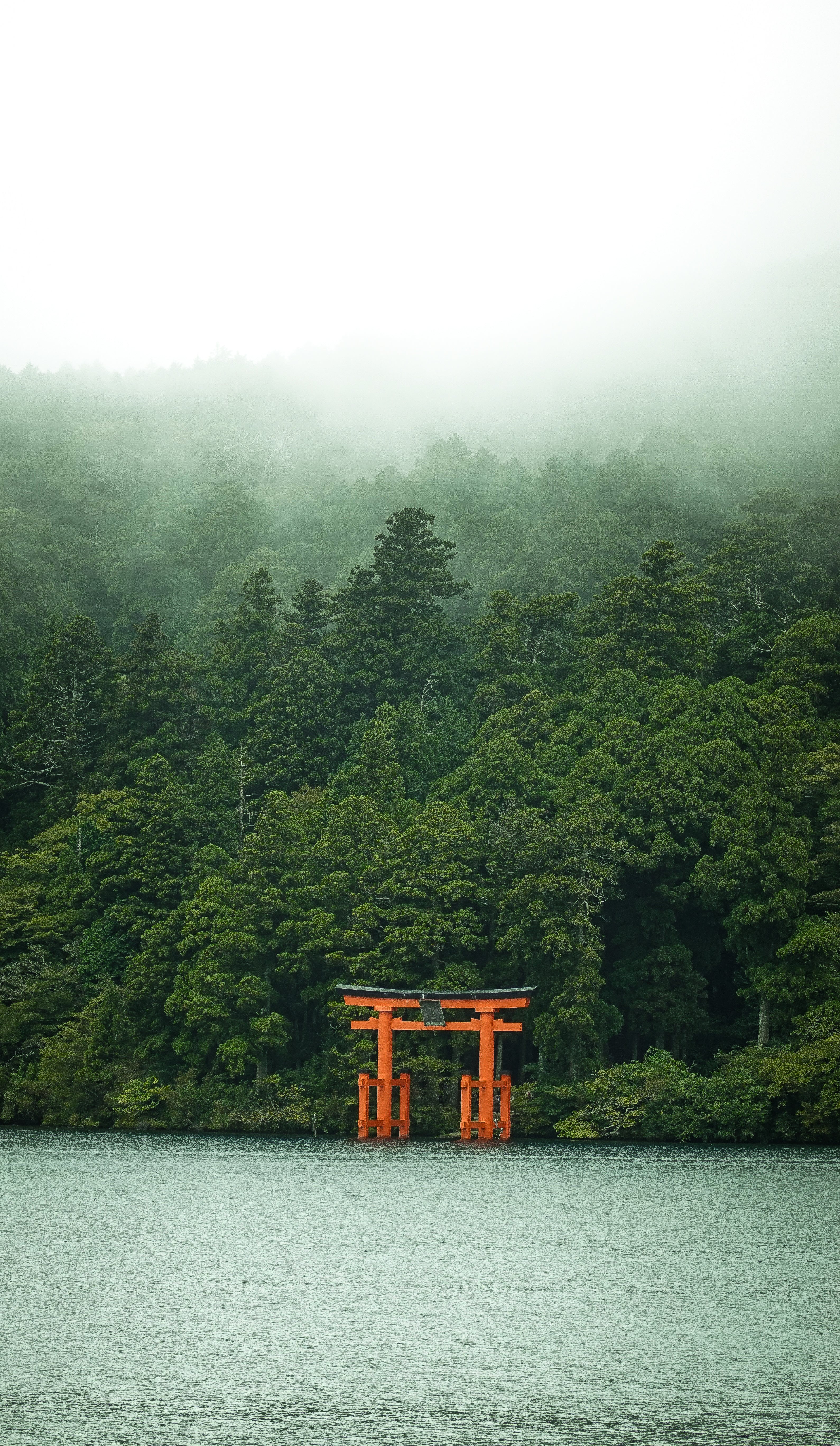 霧に包まれた湖面に浮かぶ、鮮やかな朱色の鳥居。静寂の中に佇むその姿は、まるで異世界への入り口のよう。