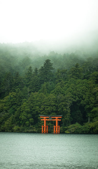 霧に包まれた湖面に浮かぶ、鮮やかな朱色の鳥居。静寂の中に佇むその姿は、まるで異世界への入り口のよう。